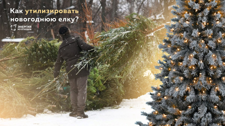 Информация о местах сбора новогодних деревьев по Чернянскому району. Информация о местах сбора новогодних деревьев по Чернянскому району.